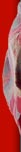 Arm