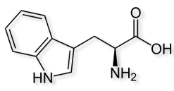 Molecule