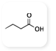 Saw Palmetto