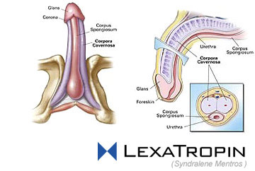 medical art