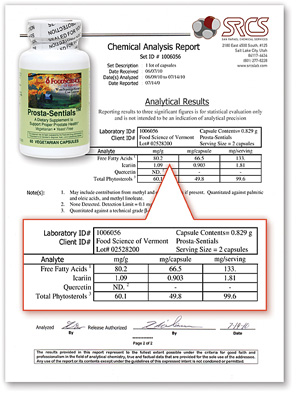 Lab Report