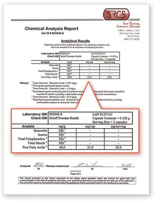 Lab Report