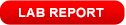 Read Lab Report
