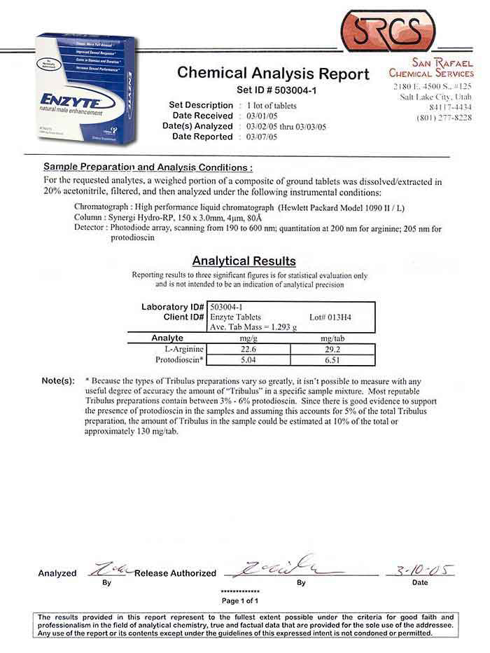 Enzyte Lab Report