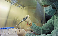Male Enhancement Research