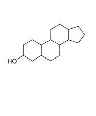 Saw Palmetto